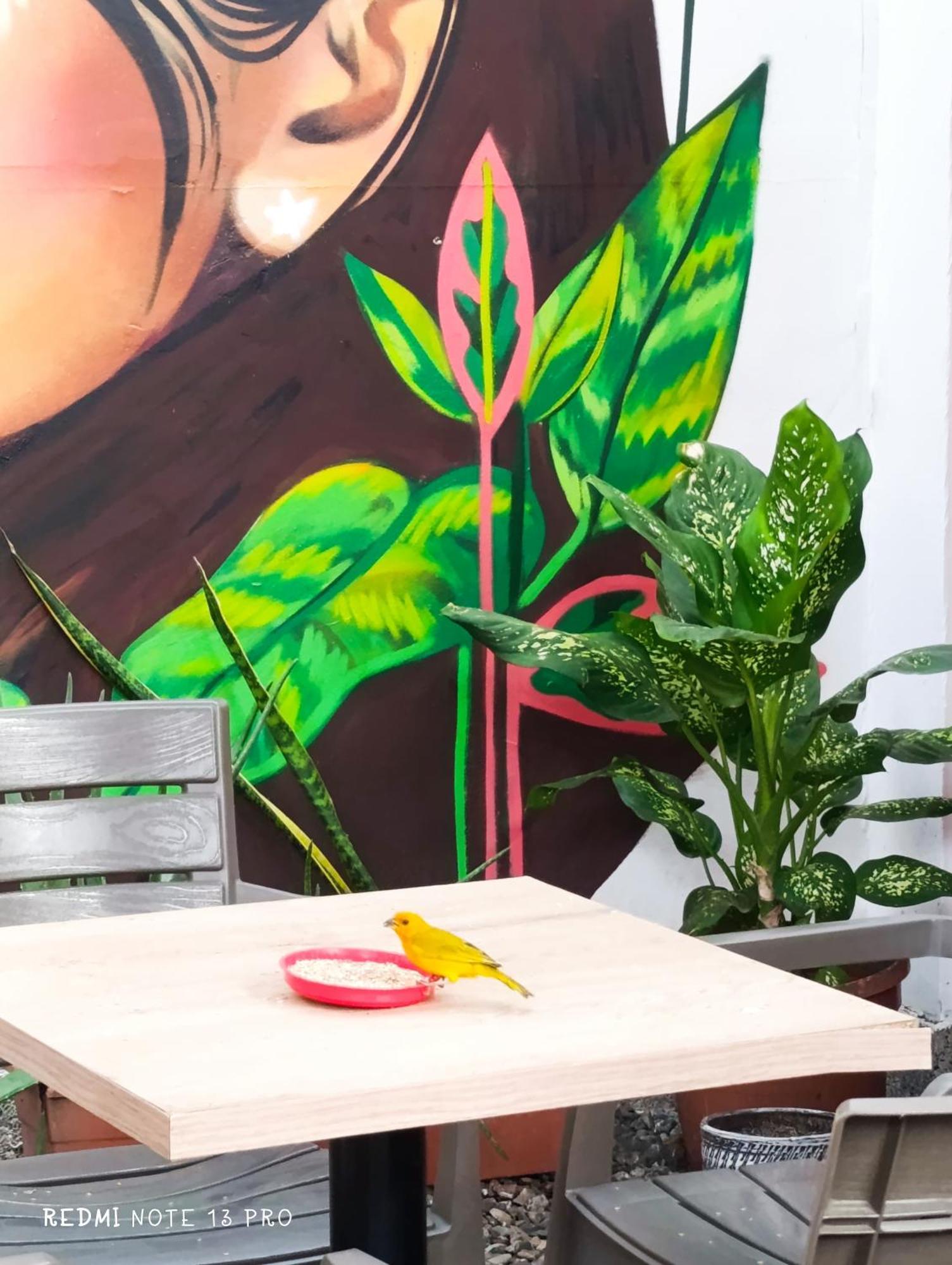 Hospedaje Casa Cultural Saberes Neiva  Ngoại thất bức ảnh